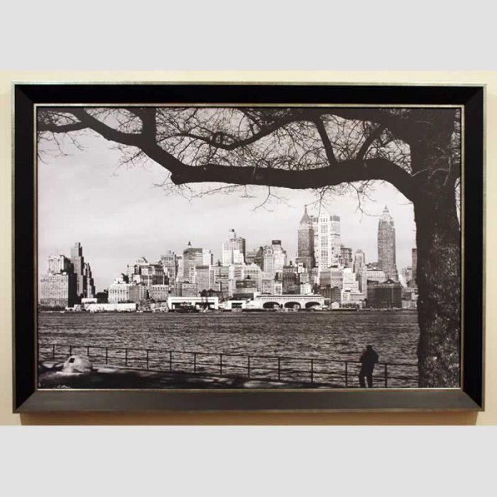 New York Skyline (day)