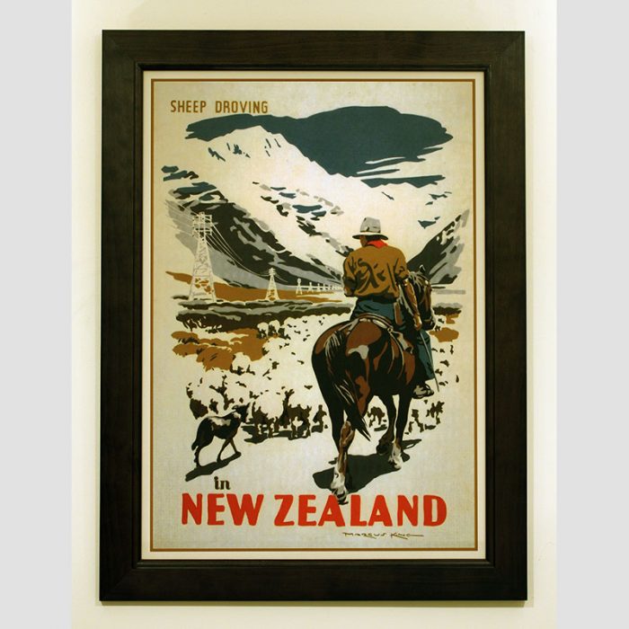 Sheep Droving in NZ - Image 2