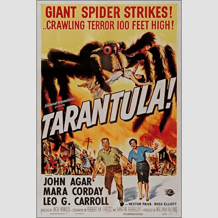 Tarantula